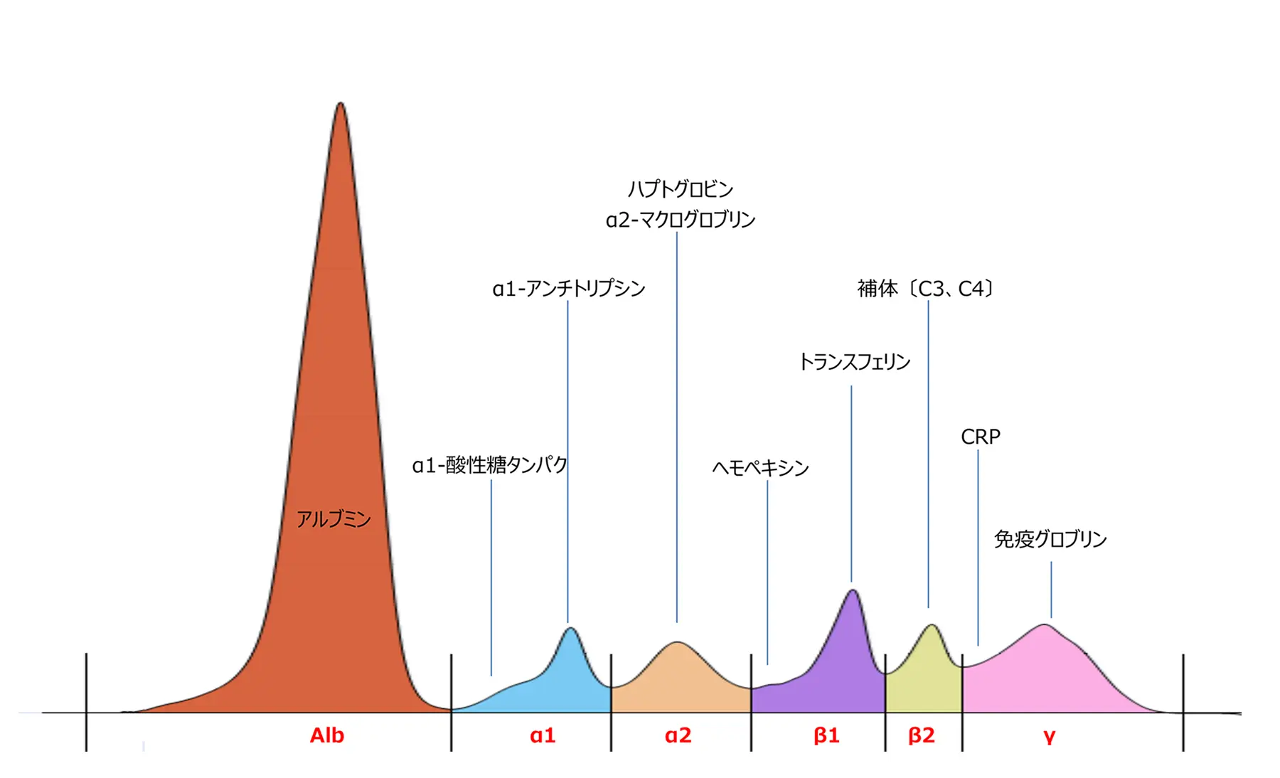 6分画血清蛋白分画トレース  〈V8 ウルトラCE〉